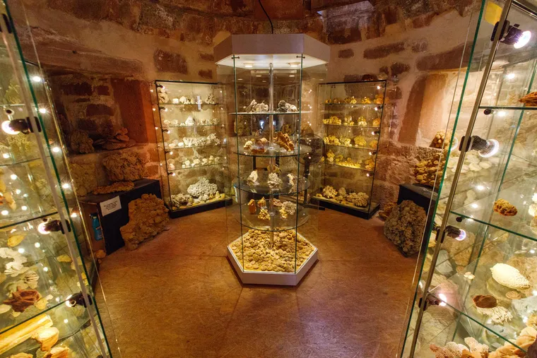 Vitrinen mit Sandrosen im Sandrosenmuseum